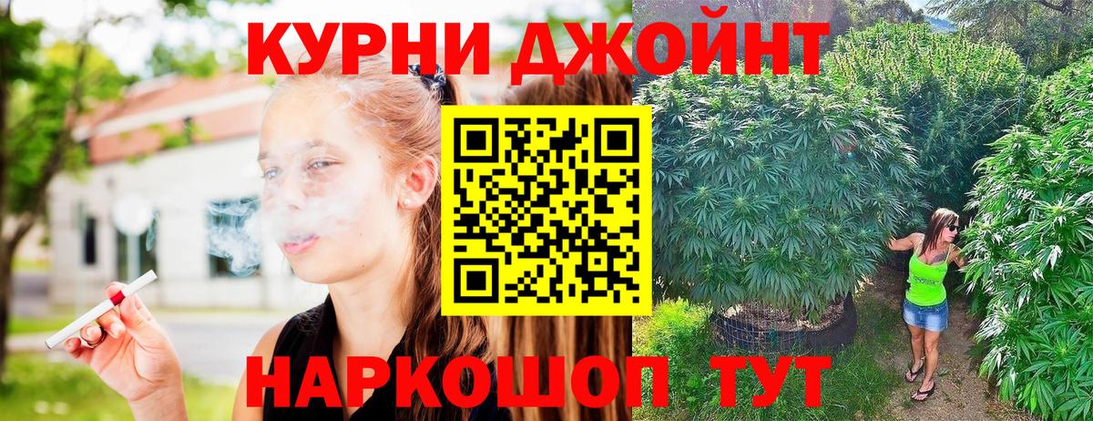 Канабис MAZAR  Бошки марихуана LSD WEED  Алексин  Бошки Шишки MAZAR  Вход с VPN  Конопля план 